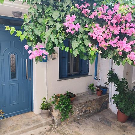 Kastro House Βίλα Σκόπελος Εξωτερικό φωτογραφία