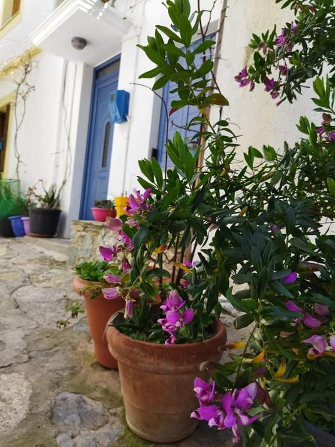 Kastro House Βίλα Σκόπελος Εξωτερικό φωτογραφία