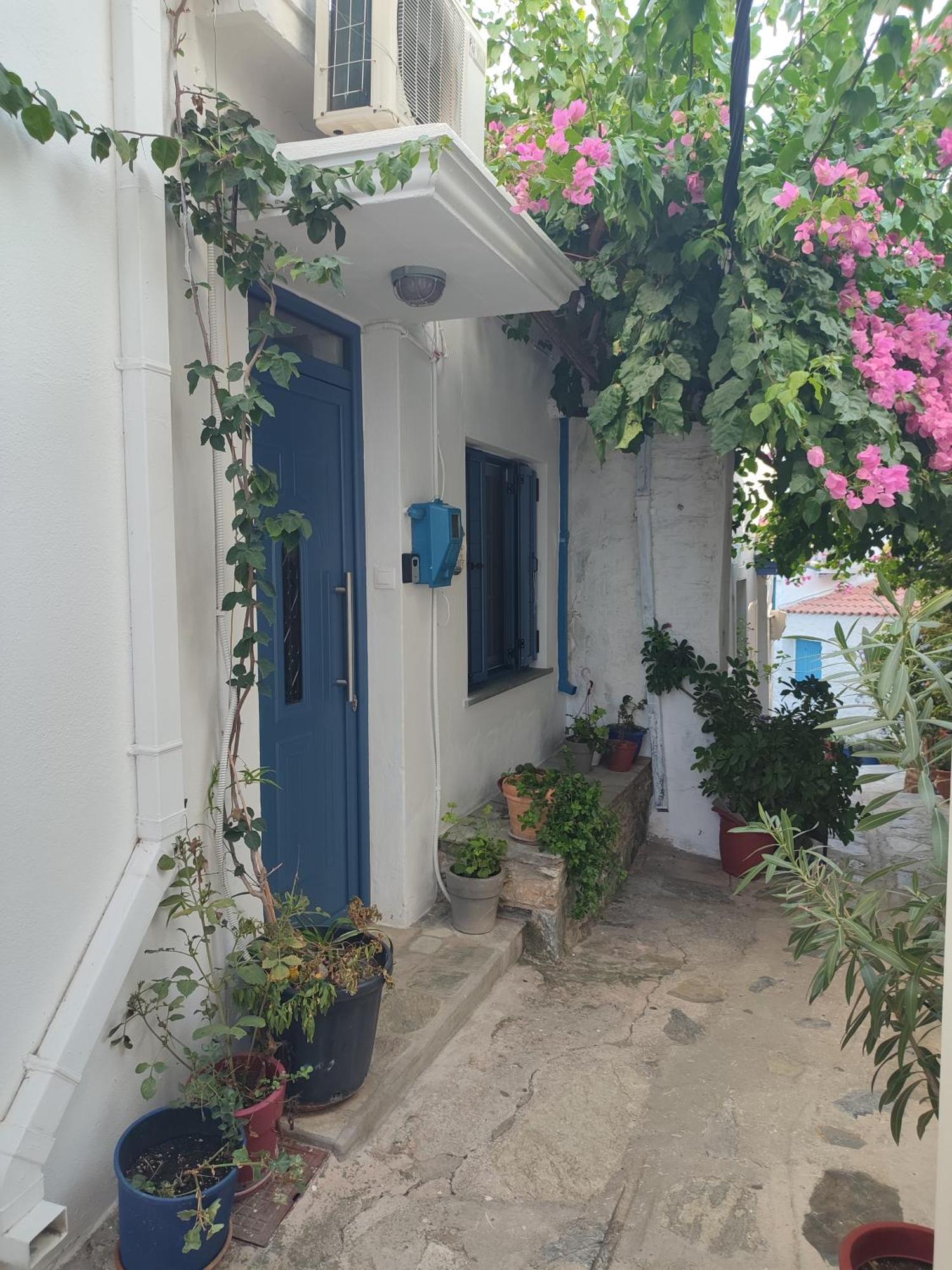Kastro House Βίλα Σκόπελος Εξωτερικό φωτογραφία