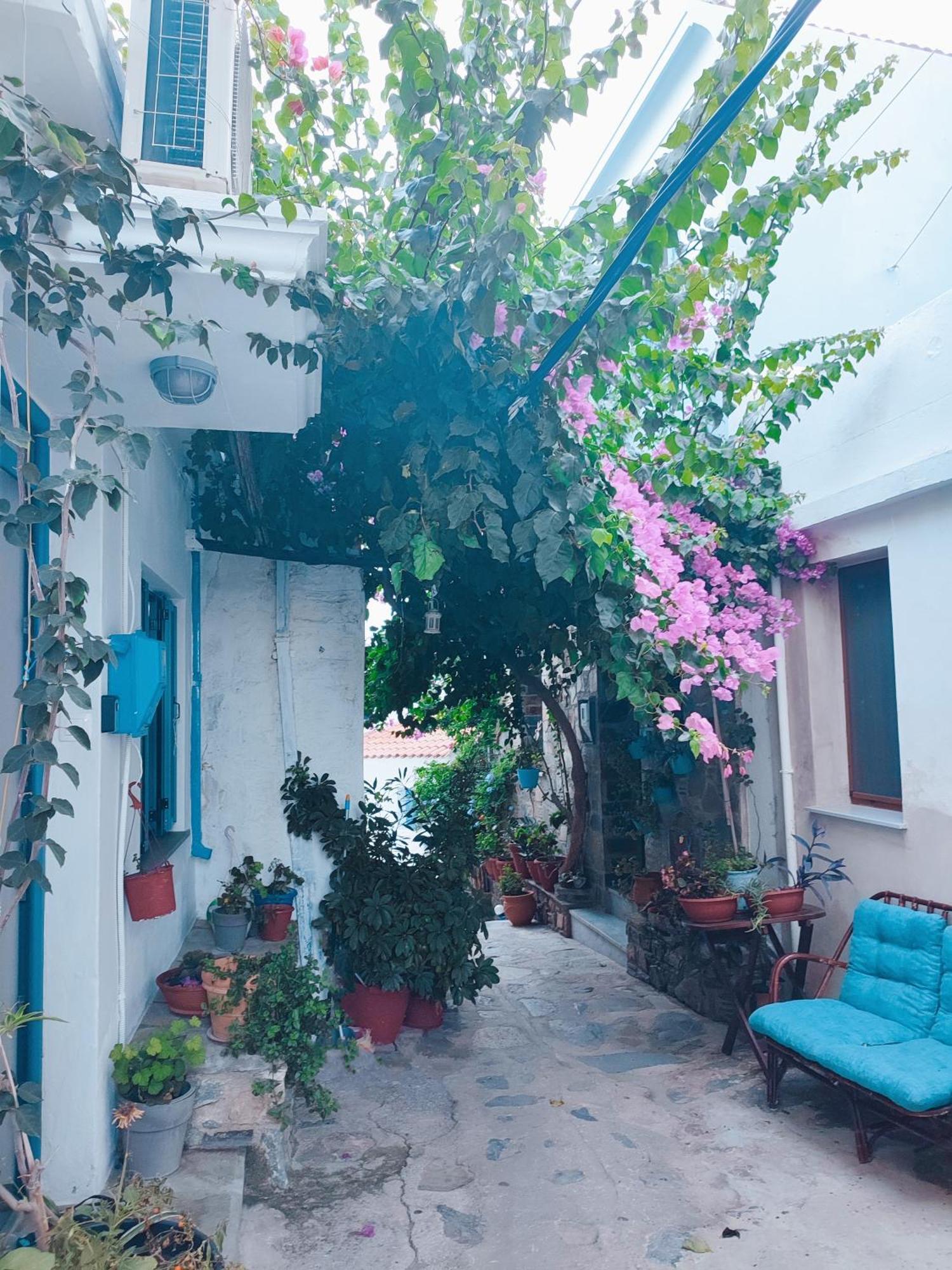 Kastro House Βίλα Σκόπελος Εξωτερικό φωτογραφία